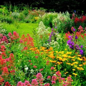 Meet your Posher, Ageless